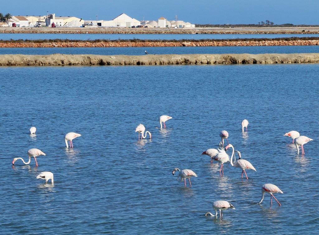 Masquestar Mar Menor Apartment Torre-Pacheco Luaran gambar
